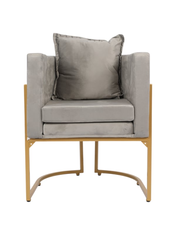 Salon System Women's Salon Chair Velvet Upholstery Gold-Coated Iron Frame Light Grey