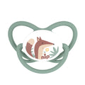 Nip Butterfly Orthodontic Silicone Soother with Ring, Brown and Green