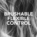 Sebastian Professional Shaper Dry Brushable Styling Hair Spray Medium Hold 1.5 oz