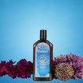 Agadir Daily Volumizing Shampoo Argan Oil Panthenol Sulfate-Free 366 ml