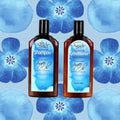 Agadir Daily Volumizing Shampoo Argan Oil Panthenol Sulfate-Free 366 ml