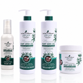 Garden Olian | Garden Olean Hemp Seed Oil Hair Care Set, 4 Pieces