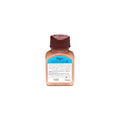 Bigen Dark Brown Hair Dye Powder, Water-Activated Ammonia-Free Hair Colour