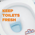 Mr. Muscle In-Tank Toilet Block Marine Scent, Blue Water, 2 x 50 g