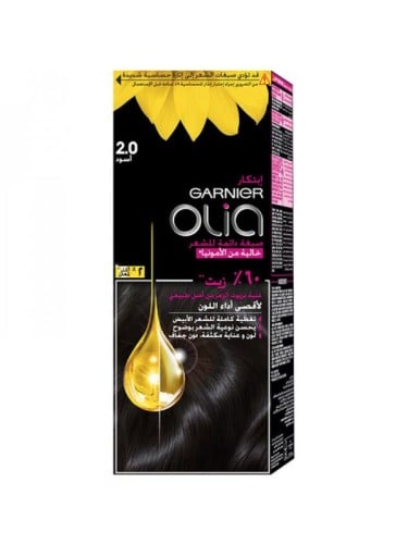 Garnier Ammonia-Free Permanent Hair Color Black 2.0 With Natural Oils