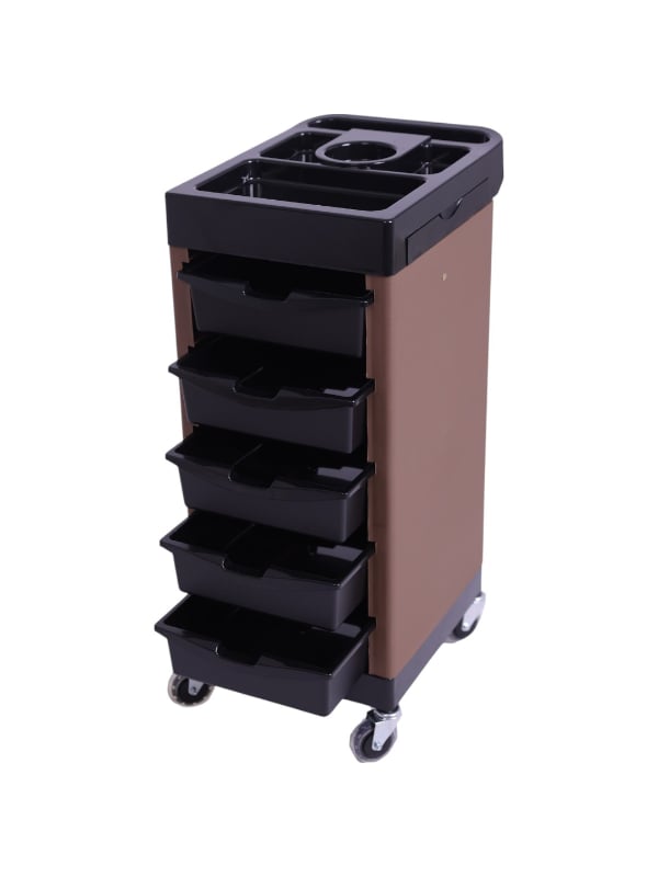 Salon System Professional Salon Trolley Model X103-1, 6 Drawers, Pull-Out Side Rack, Brown and Black