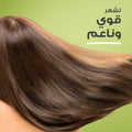 Hair Food Avocado & Argan Oil Shampoo Sulfate-Free Smoothing Color-Safe 300 ml
