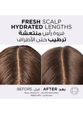 L'Oreal Paris Elvive Hyaluron Pure Purifying Shampoo Salicylic Acid Oily Scalp 400 ml, Pack of 2
