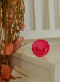 FRIGG Daisy Silicone Baby Pacifier SilkySoft Nipple Fuchsia 6-18 Months 1-Pack