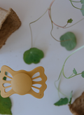 FRIGG Lucky Symmetrical Silicone Pacifiers, Pale Daffodil/Satin, 2-Pack, 6-18 Months