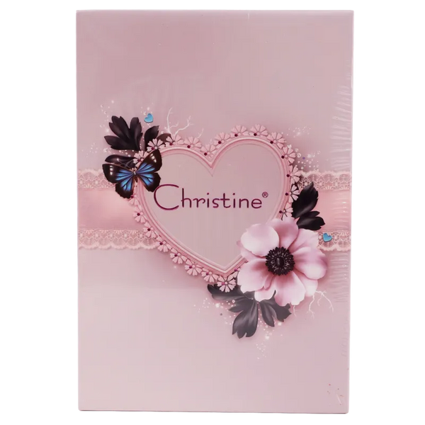 Christine 5-in-1 Complete Makeup Palette Eyeshadow Blush Highlighter CH-K2313