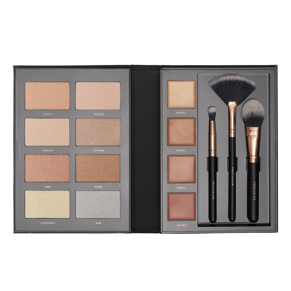 Profusion Cosmetics Pro Highlight Professional Beauty Book 12 Shades with 3 Brushes