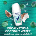 Rexona Thermocool Roll-On Antiperspirant Cooling Menthol Eucalyptus Coconut Water 50ml
