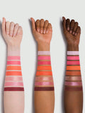 SHEGLAM The Powerpuff Girls X Palette The Leader