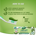 Dabur Herb'l Expert Gum Care Toothpaste Botanical Neem Formula with Toothbrush 150 g