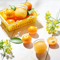 Frudia Citrus Brightening Cream Lightweight Moisturizer Vitamin C Citrus Peel Extract 55g