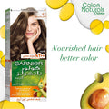 Garnier Hair Color Naturals Permanent Hair Dye Nourishing Formula 6.1 Dark Blonde 110 ml