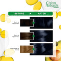 Garnier Hair Color Naturals Permanent Hair Color Nourishing Oils 2.1 Blue Black 110 ml