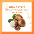 Cantu Moisturizing Shampoo with Shea Butter, Sulfate-Free Formula, 400 ml
