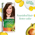 Garnier Hair Color Naturals 4 Brown Permanent Hair Color Olive Almond Avocado Oils 110ml