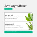 Hask Tea Tree Oil & Rosemary 5-in-1 Leave-In Spray Dry Hair 175ml