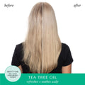 Hask Tea Tree Oil & Rosemary 5-in-1 Leave-In Spray Dry Hair 175ml