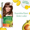 Garnier Hair Color Naturals 6.34 Chocolate Nourishing Non-Drip Cream 110 ml