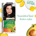 Garnier Hair Color Naturals Permanent Hair Dye Nourishing Oils Black