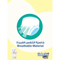 Babyjoy Pants Diapers Compressed Cullotte Size 5, 9 Count, 15-22 kg