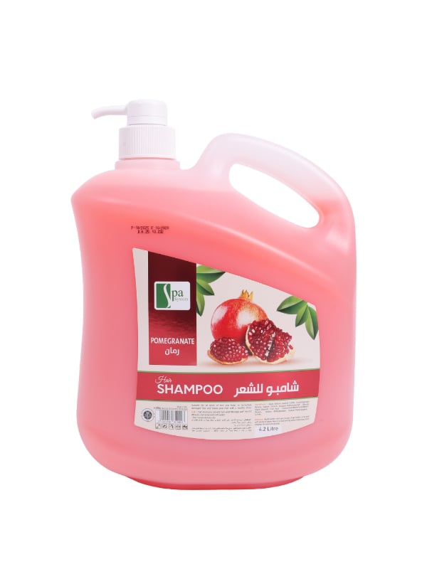 Spa System Pomegranate Shampoo Antioxidant Formula Salon Pump Bottle