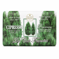 Nesti Dante Dei Colli Fiorentini Cypress Regenerating Soap