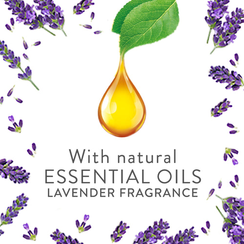 Air Wick Scented Oil Plug-In Diffuser Kit Lavender Natural Essential Oils 19 ml + 1 Refill