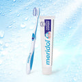 Meridol Parodont Expert Toothbrush Ultra Soft Micro-Fine Triple-Tip Bristles 2 Pieces