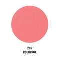 Pastel Show Your Happiness Blush Velvet Soft Matte Finish #202 Colorful