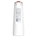 Dove Nourishing Oil Care Shampoo for Dry, Frizzy Hair with Natural Oils