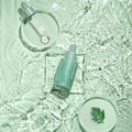 Kundal Mugwort Soothing Energy Serum Hydrating Facial Serum 30 ml