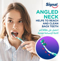 Signal Medium Toothbrush V Gum Jewel