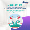 Signal Medium Toothbrush V Gum Jewel