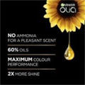 Garnier Olia Permanent Hair Color 8.0 Blonde Ammonia-Free 60% Oils