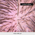 L'Oreal Professionnel Scalp Advanced Dermo-Regulator Shampoo, Sensitive Scalp, Niacinamide, 300 ml