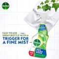Dettol Mould & Mildew Remover Trigger Spray Fresh Fragrance 500ml