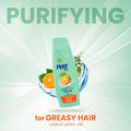 Pert Plus Shampoo Fine & Greasy Hair Liquid Mandarin Extract 400 ml