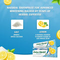 Dabur Herbal Toothpaste Salt & Lemon with Toothbrush, 150 g