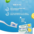 Dabur Herbal Toothpaste Salt & Lemon with Toothbrush, 150 g