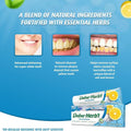 Dabur Herbal Toothpaste Salt & Lemon with Toothbrush, 150 g