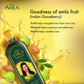 Dabur Amla Gold Hair Oil Liquid Amla Almond and Henna 200 ml
