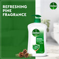 Dettol Original Liquid Handwash Pump Pine Scent pH Balanced 400ml