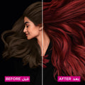 Garnier Olia Hair Color Cream Light Ash Blonde 8.1 Ammonia-Free Kit