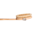 Basic Care Body Massage Shower Brush with Gentle Bristles