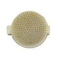 Pastel Body Cleansing Brush Soft Bristles Ergonomic Grip